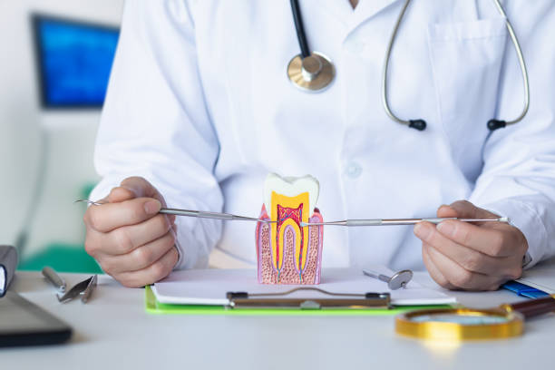 Best Broken or Chipped Tooth Repair in New Albany, MS